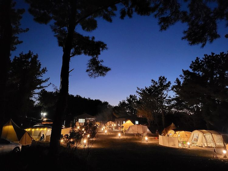 제주도 '벨리타 캠핑장' 미리보기