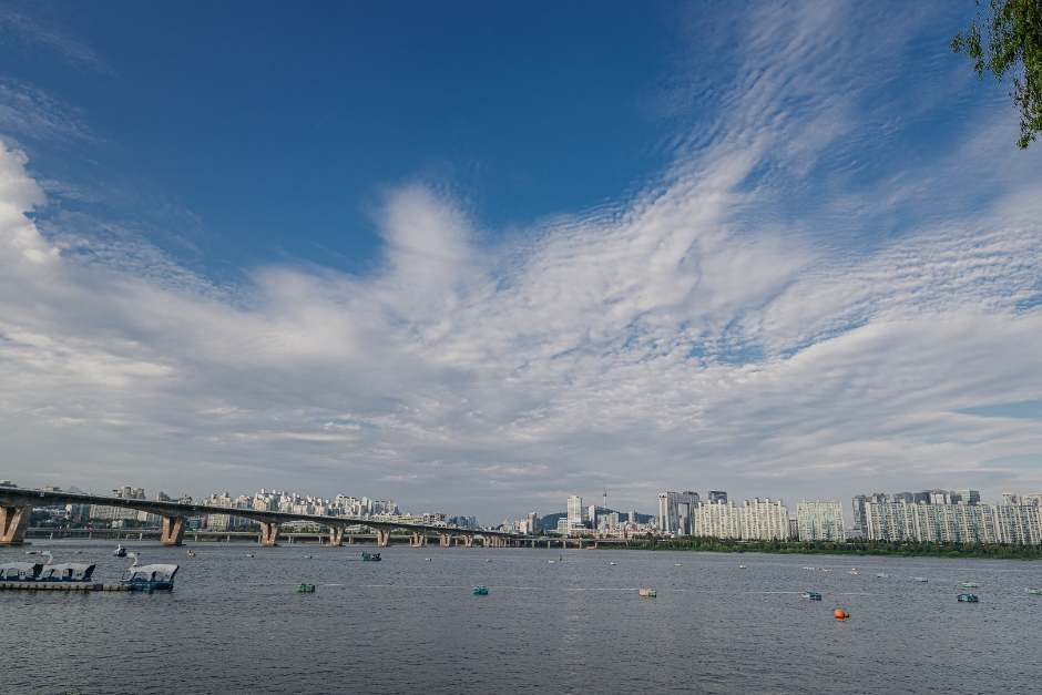 여의도-봄꽃축제-서울시제공