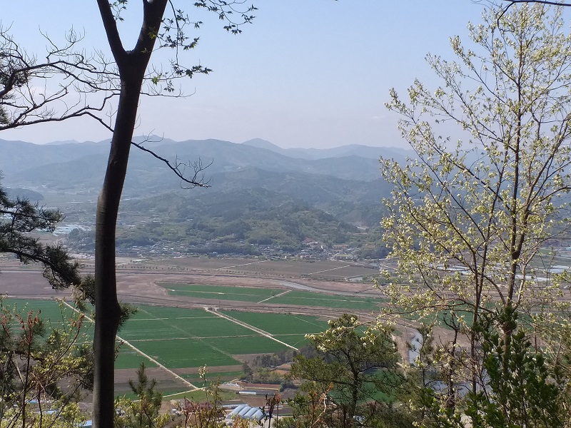 등산 칼로리
