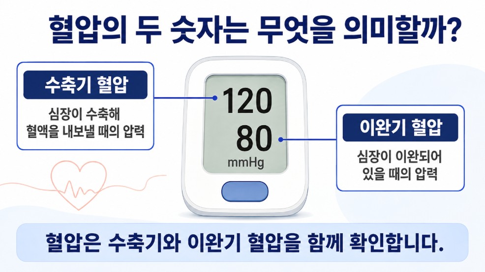 혈압 측정값에서 앞 숫자는 수축기 혈압이고 뒤 숫자는 이완기 혈압이라는 설명