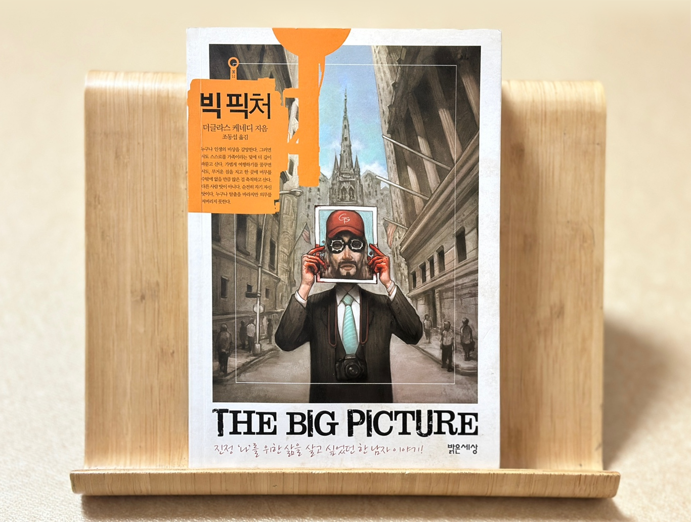 빅 픽처 소설