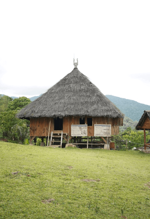 마음의 속도를 늦추면 인생이 보인다