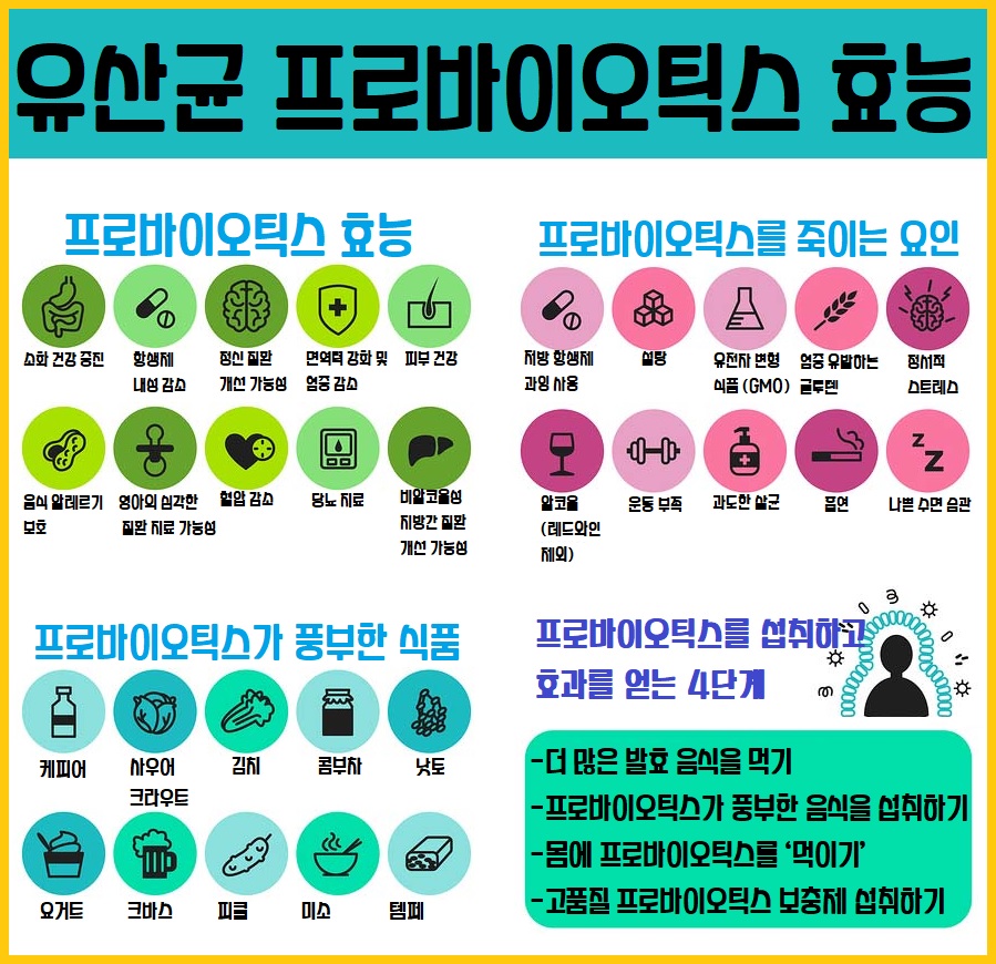유산균 프로바이오틱스 효능