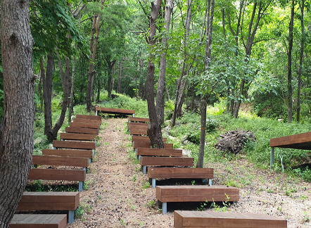 함양대봉산휴양밸리 숲체험