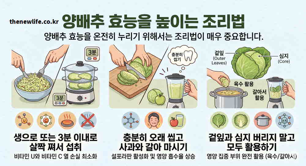 양배추 효능 높이는 조리법