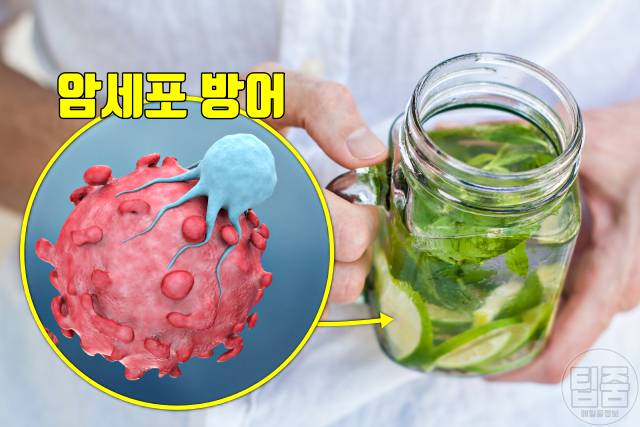 오이물 효능 오이물 만들기