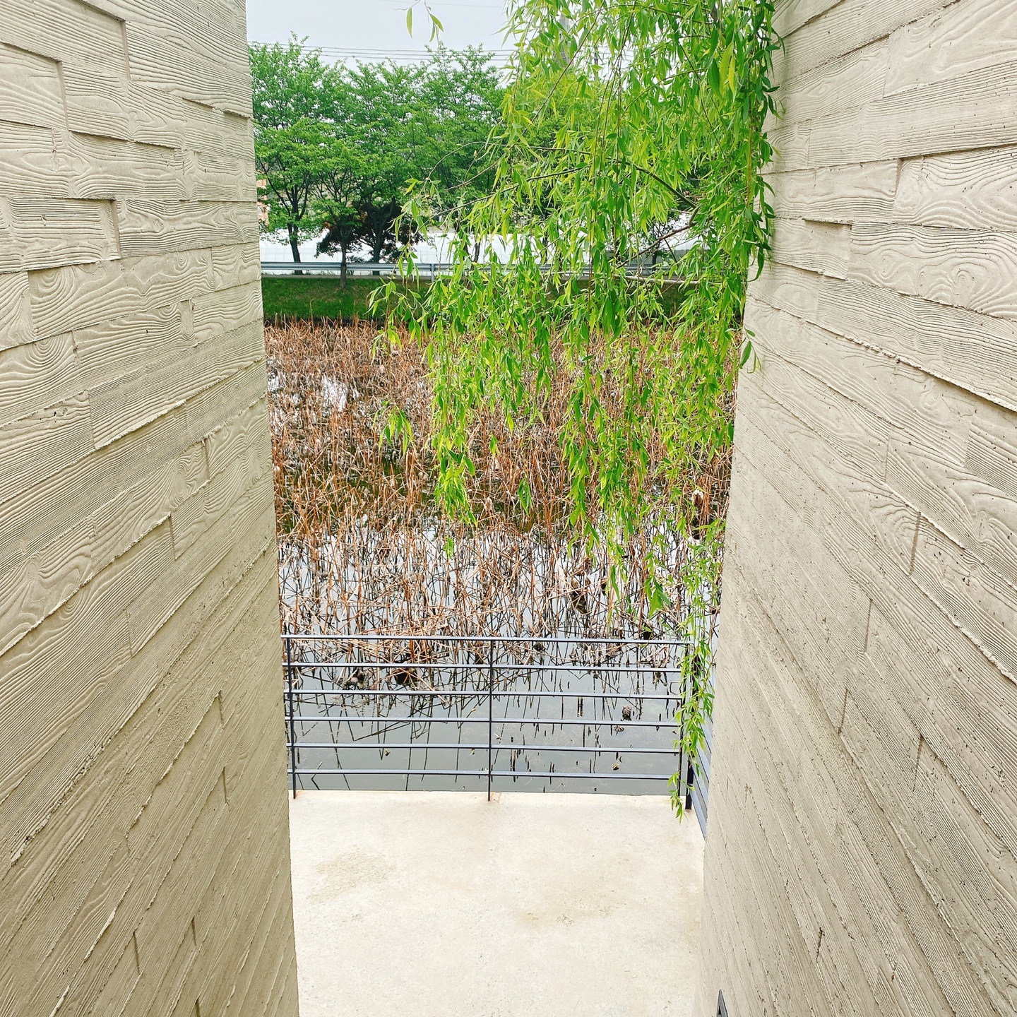 충북 청주 부모산 주봉마을 주봉저수지 한옥 북카페 인문아카이브양림 후마니타스