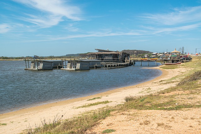 물 위의 삶: 네덜란드의 플로팅 홈 디자인