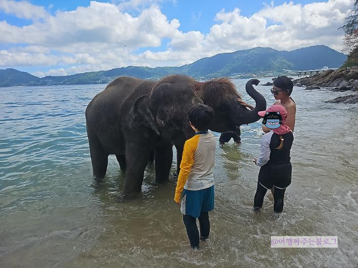 #푸켓코스 #푸켓일정