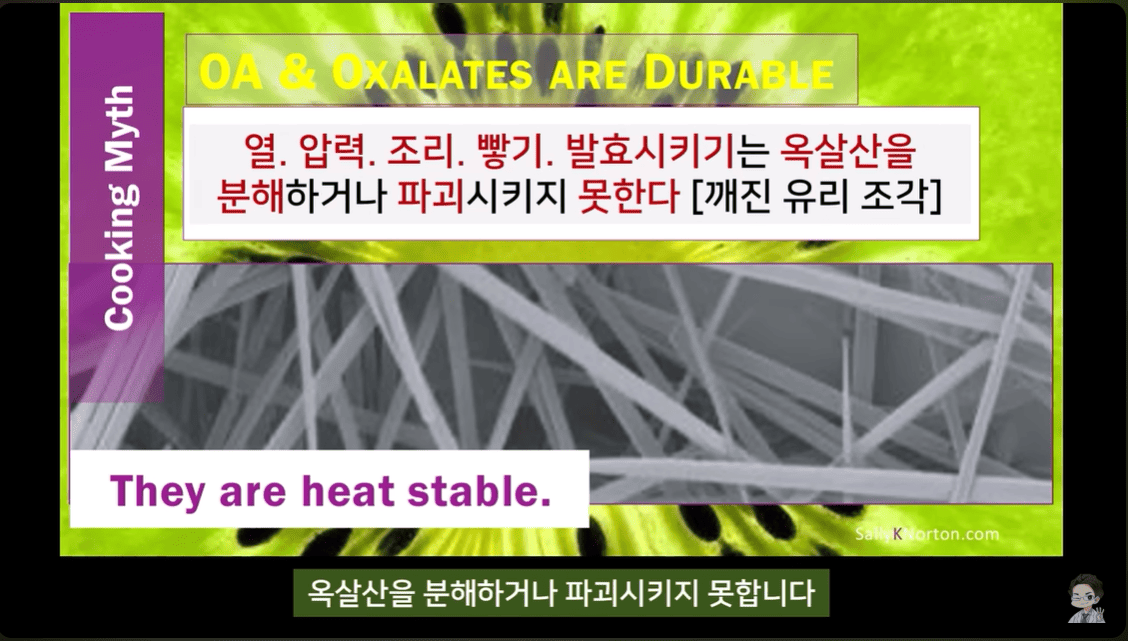 시금치, 콩, 옥살산 괴담일까? 진짜 건강을 위한 팩트체크