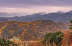 소백산 국립공원 실시간 cctv