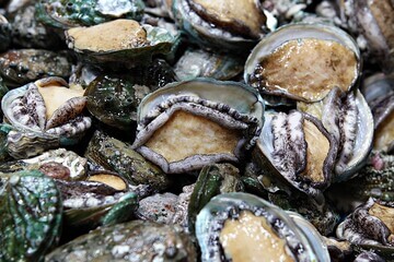 초복날짜, 초복, 중복, 말복, 복날 날짜까지 확인하시고 몸보신 음식도 어떤 것들이 있는지 참고하세요. 또한 봄, 여름, 가을, 겨울로 나뉘어지는 24절기도 함께 확인하세요!