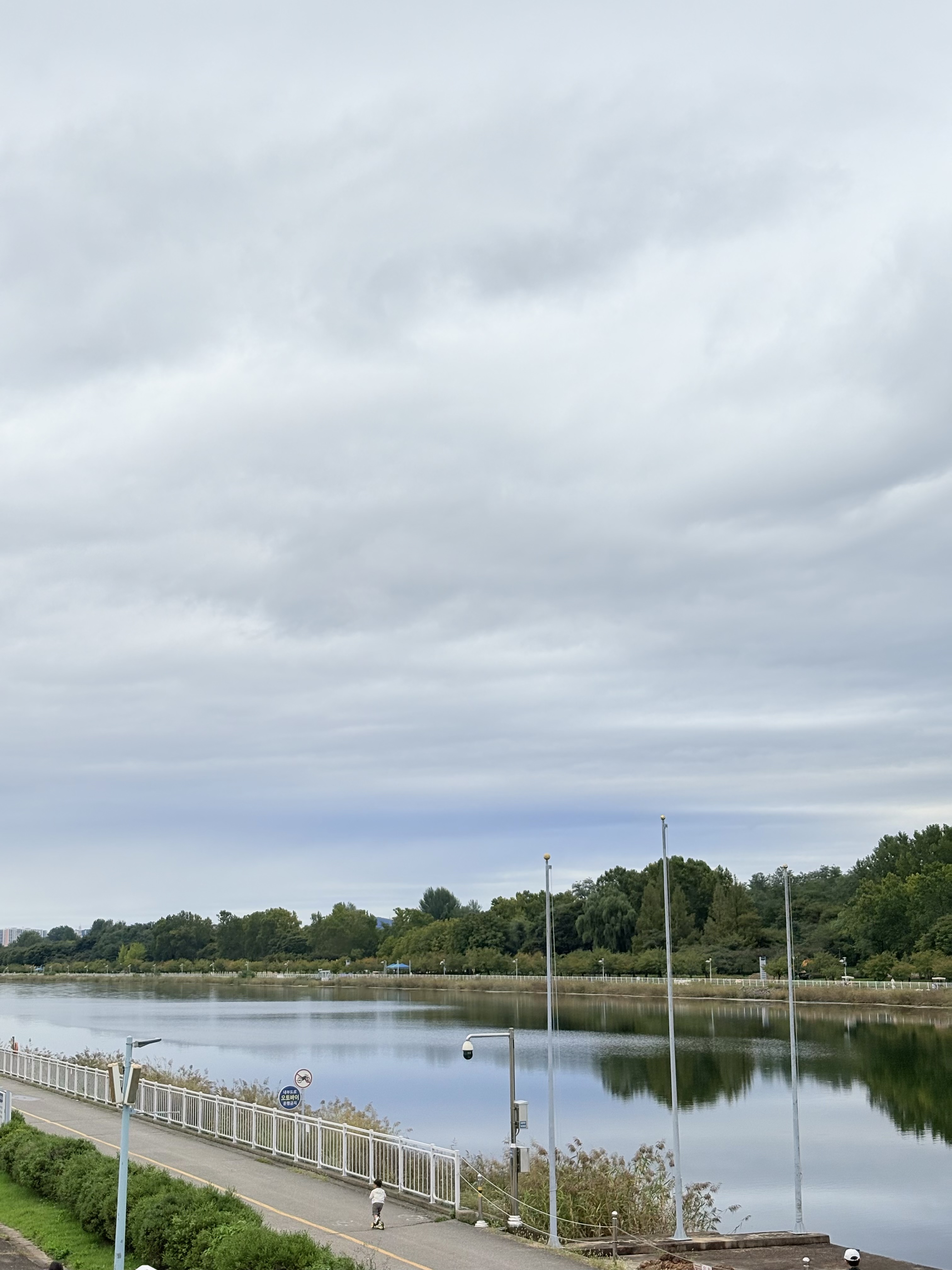 하남 미사경정공원 핑크뮬리 데이트: 인생샷 명소와 미사리 데이트 코스 완벽 정리
