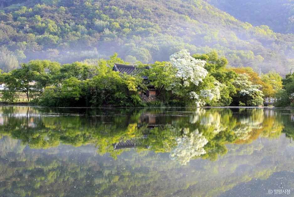 밀양 가볼만한곳 베스트10