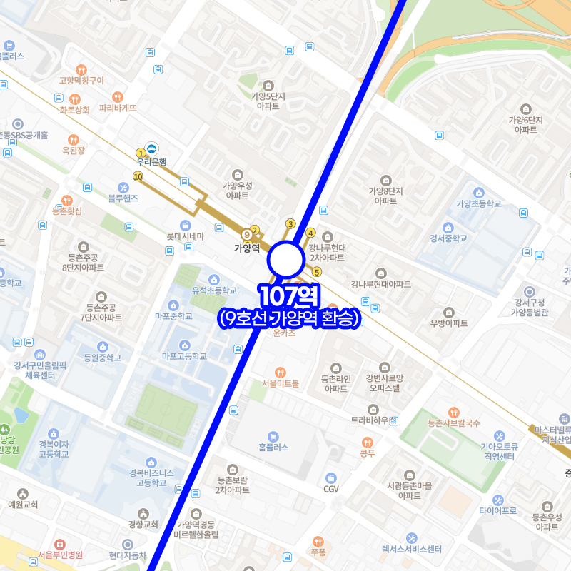 대장홍대선 노선도