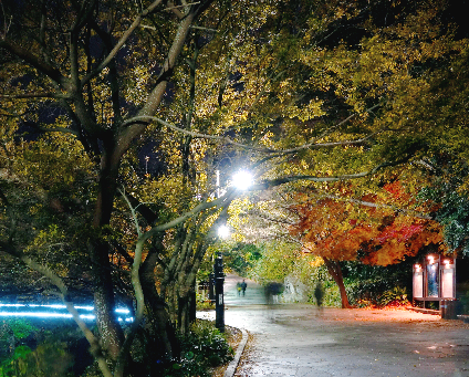 천지연폭포 야경모습