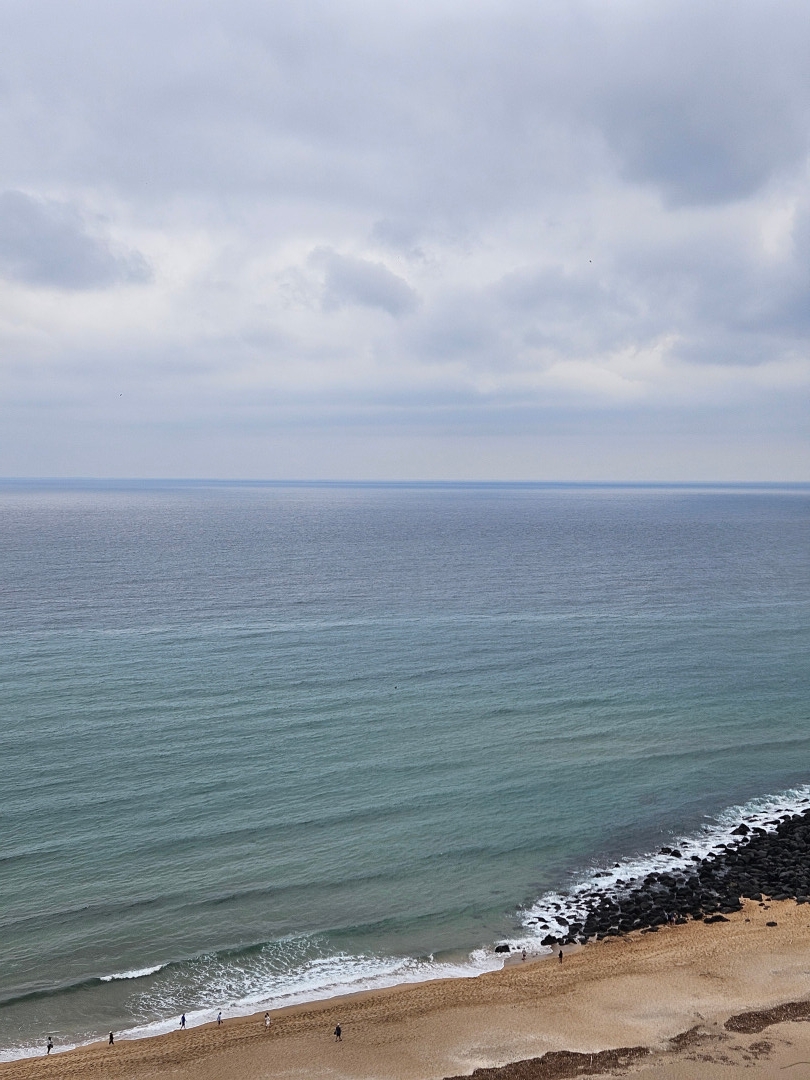 신라호텔 숨비정원