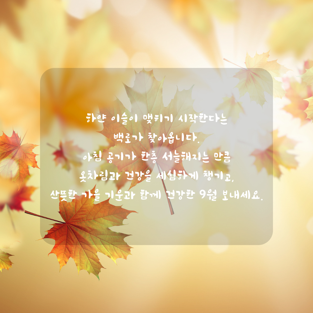 9월 백로 인사말 - 이슬과 서늘해진 아침 공기