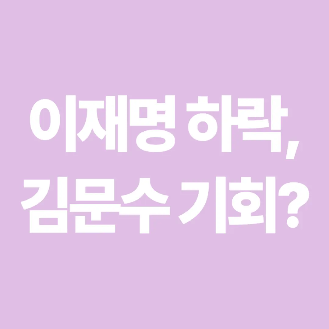 김문수 중도층 공략 전략 분석