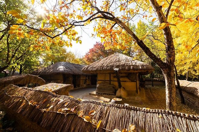 한국민속촌 초가집과 가을 정취