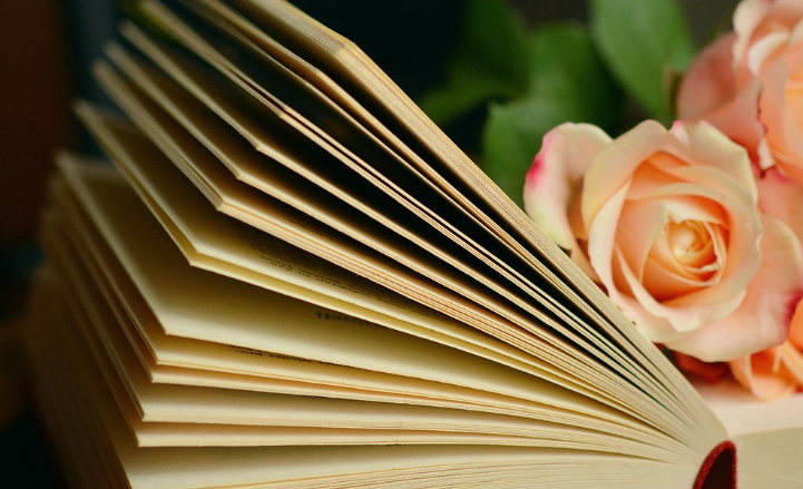 감수성 예민한 분께 추천하는 에세이 작가