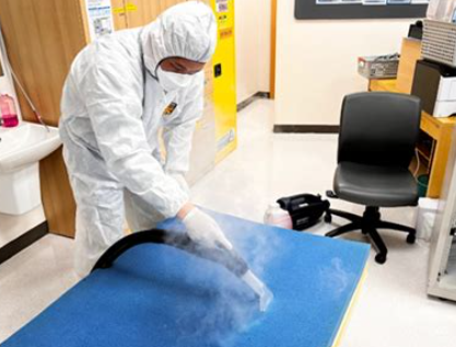 빈대 물린자국6