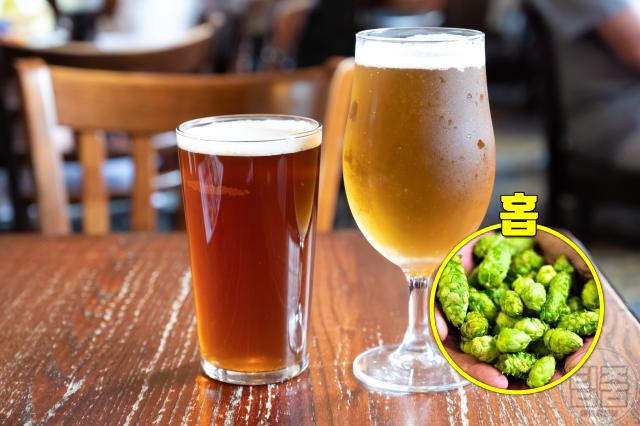 속이 답답하고 더부룩할때 소화불량 해결 방법 쓴막 맥주