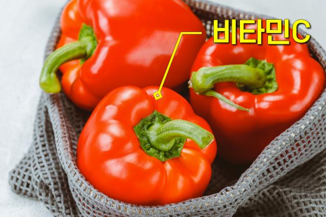 손톱 갈라지고 부러질때 챙겨 먹을 음식 영양소 빨간피망