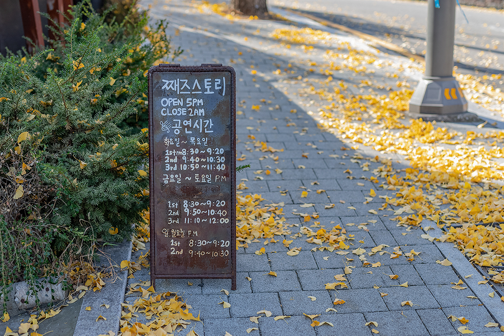 혜화문
성북동
한양도성길
백악구간
서울여행
서울단풍
가을단풍
단풍
은행