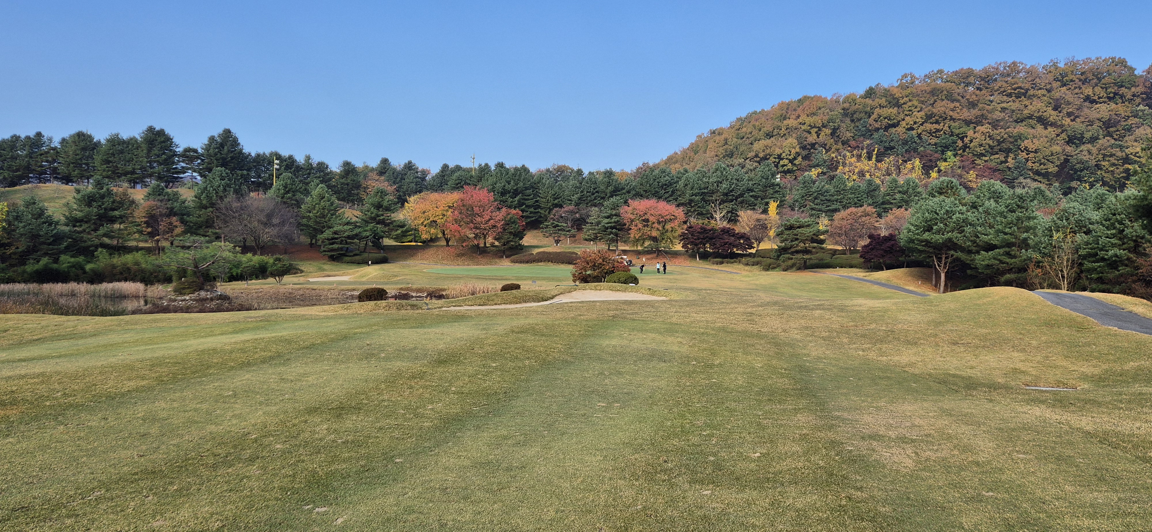 시그너스cc 라미코스 사진 및 공략 정보