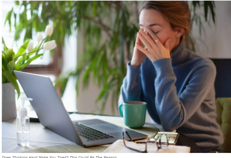 정신적인&nbsp;피로, 독성 물질 축적: 연구결과 Researchers prove that thinking hard does make you tired