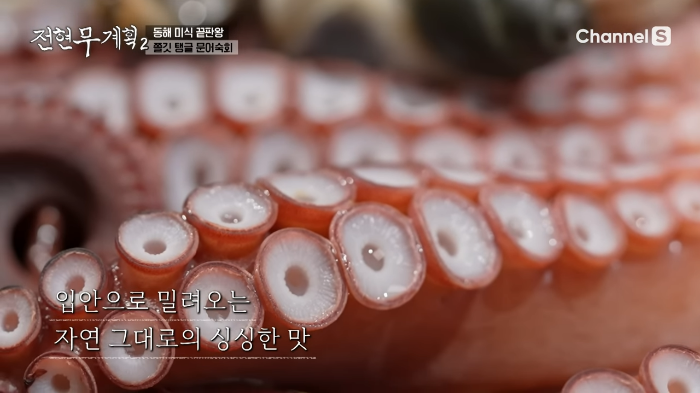 전현무계획 삼척 문어 골뱅이 숙회