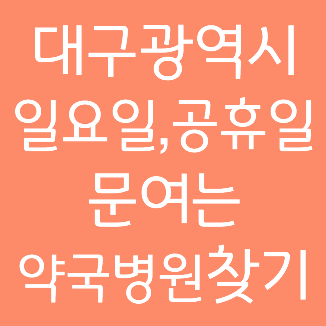 대구광역시 일요일, 공휴일 문여는 약국병원 찾기