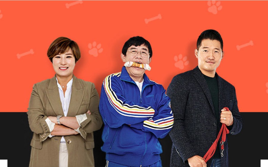 개는 훌륭하다 도고 아르헨티노 러키 생방송 다시보기