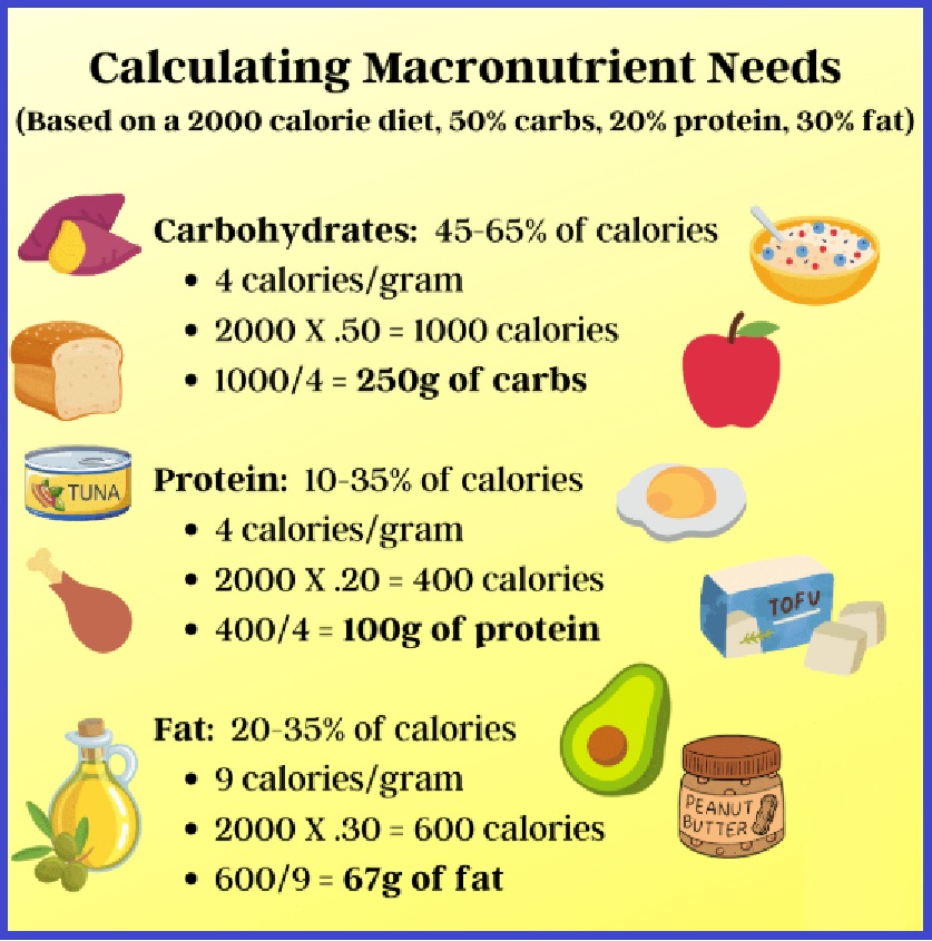 매크로식단 계산하는 방법