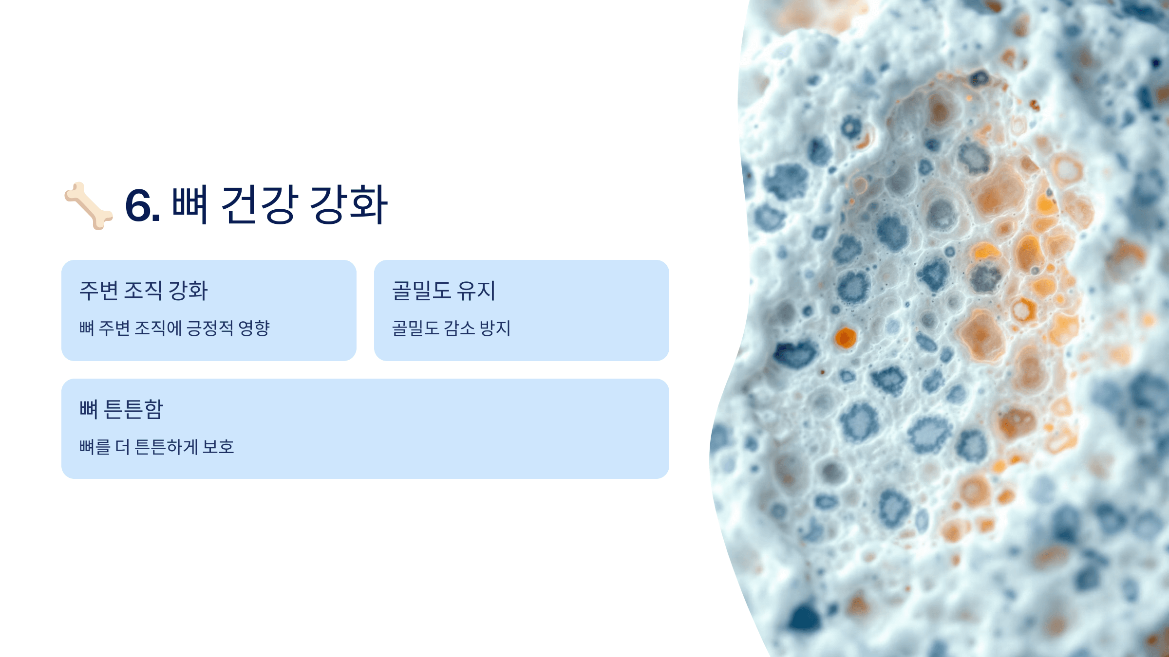 콘드로이친과 관련된 사진입니다.