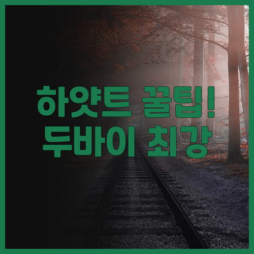 하얏트 플레이스 두바이 와슬 디스트릭..