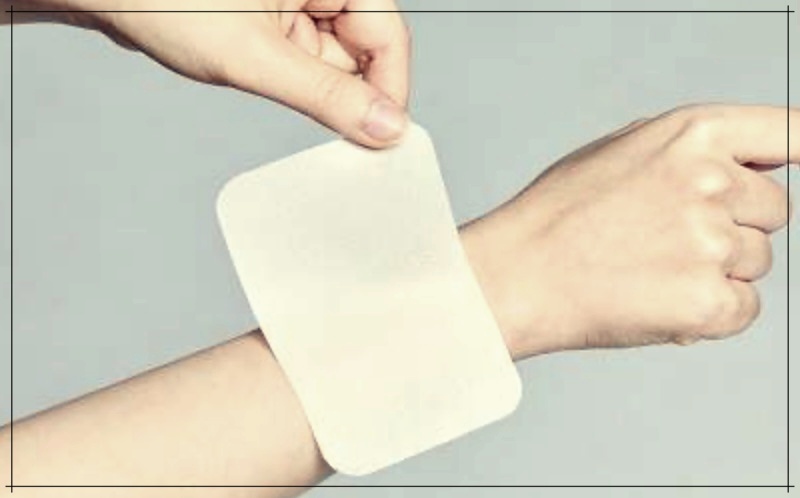 지네 물렸을 때 증상과 처치법, 민간요법 알아보기