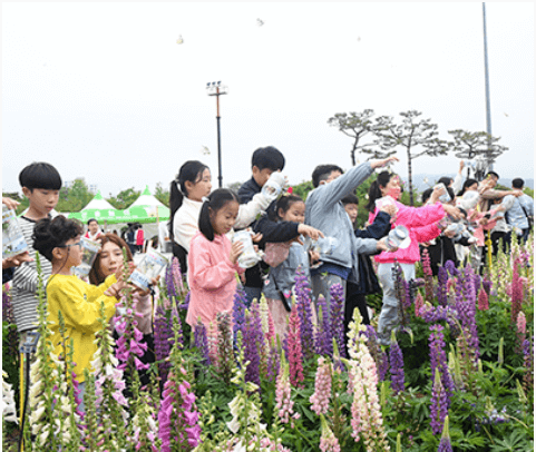 2024 함평나비축제