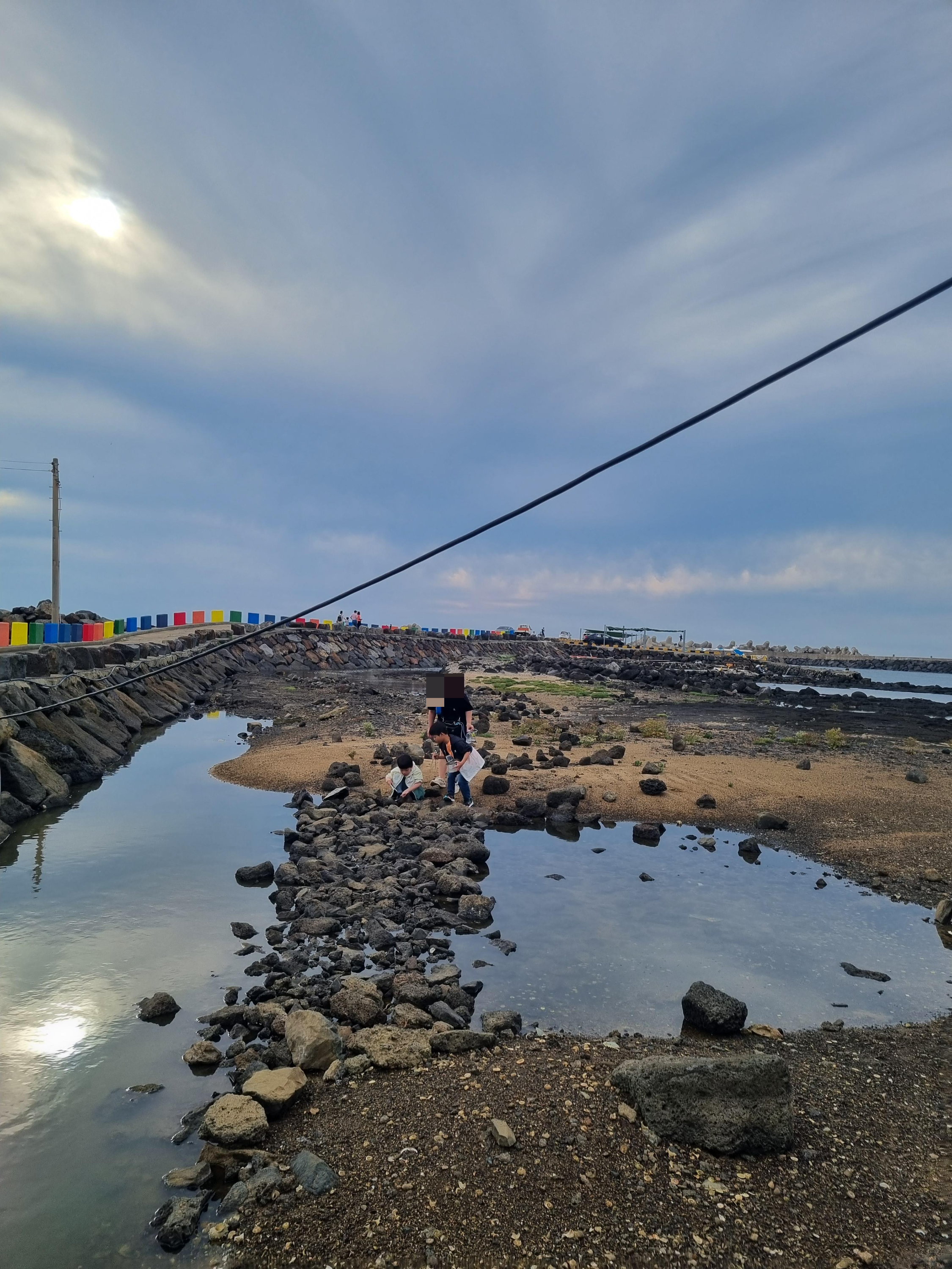 제주돌고래 힐링투어