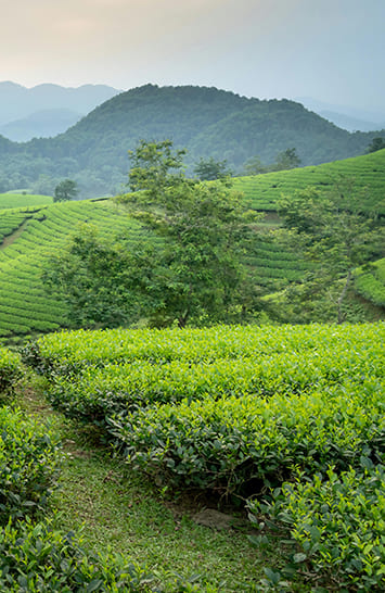 피로회복에 좋은 영양제