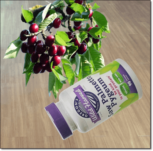 피지움 및 보충제