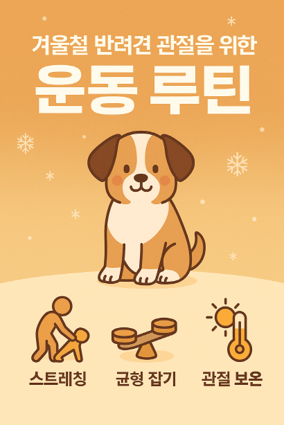 겨울철 강아지 관절을 지키는 실내 운동 루틴 총정리