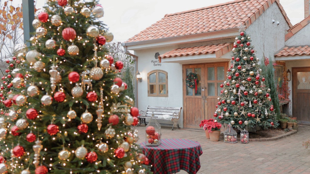 로즈스텔라정원 크리스마스