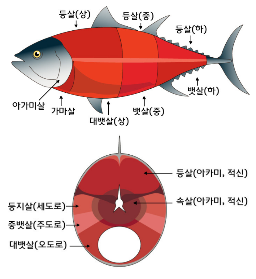 참치 부위 설명