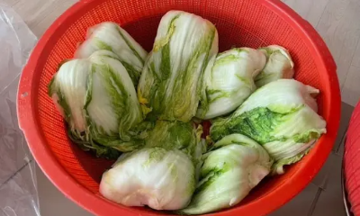 김장김치