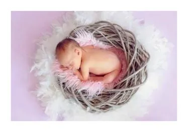 모짜르트 태교음악