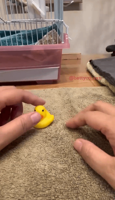 1월 3일 수 신문스크랩