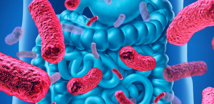 낙산균 효능 부작용 