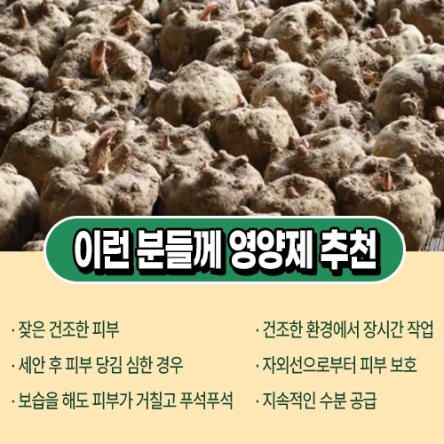 세라마이드 영양제